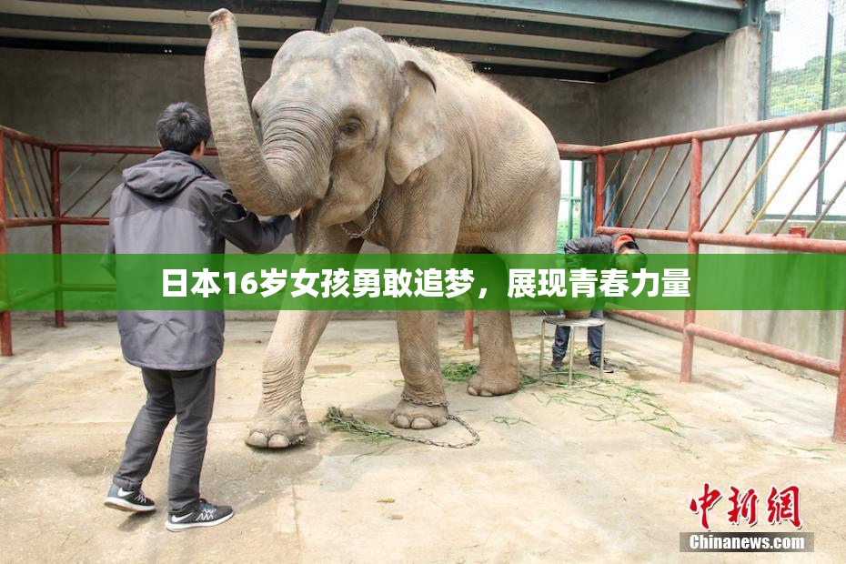 日本16岁女孩勇敢追梦，展现青春力量