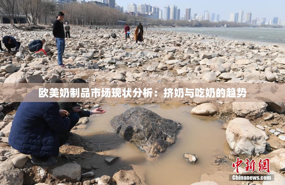 欧美奶制品市场现状分析：挤奶与吃奶的趋势