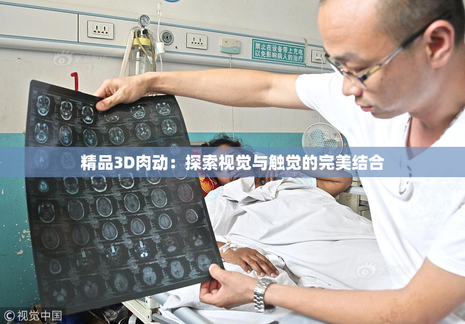 精品3D肉动：探索视觉与触觉的完美结合