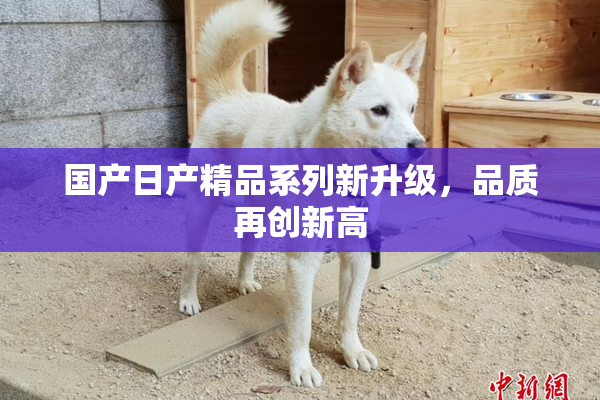 国产日产精品系列新升级，品质再创新高