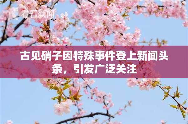 古见硝子因特殊事件登上新闻头条，引发广泛关注