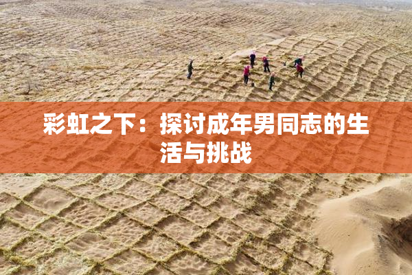 彩虹之下：探讨成年男同志的生活与挑战