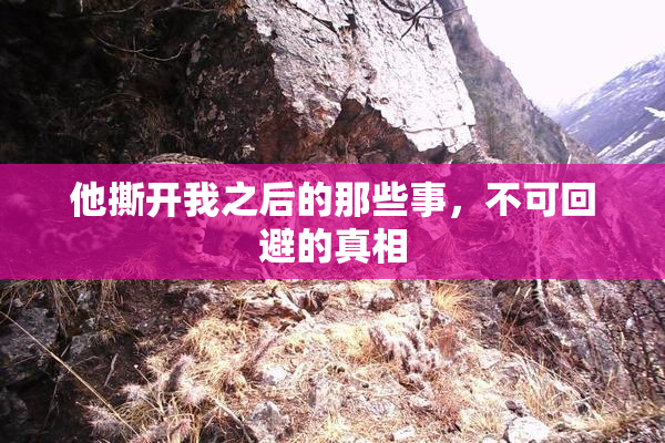 他撕开我之后的那些事，不可回避的真相