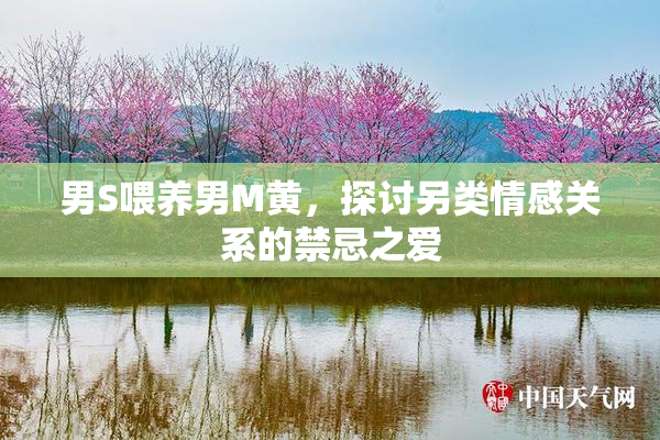 男S喂养男M黄，探讨另类情感关系的禁忌之爱