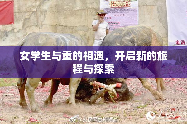 女学生与重的相遇，开启新的旅程与探索