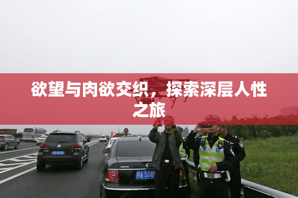 欲望与肉欲交织，探索深层人性之旅