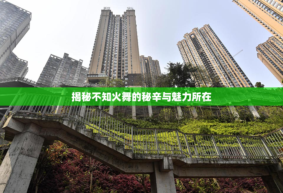 揭秘不知火舞的秘辛与魅力所在