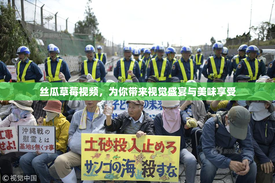 丝瓜草莓视频，为你带来视觉盛宴与美味享受