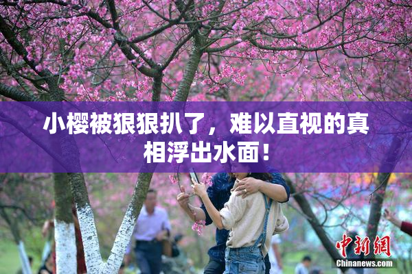 小樱被狠狠扒了，难以直视的真相浮出水面！