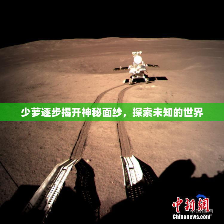 少萝逐步揭开神秘面纱，探索未知的世界