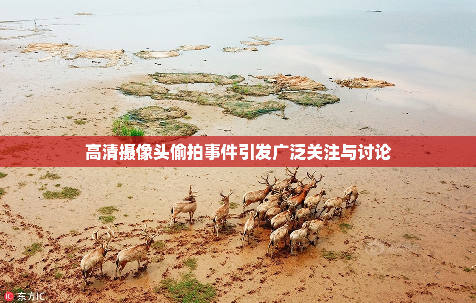 高清摄像头偷拍事件引发广泛关注与讨论