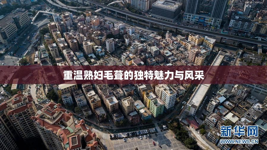 重温熟妇毛葺的独特魅力与风采