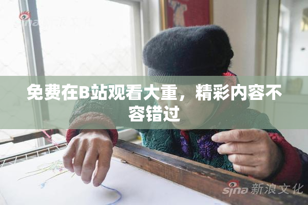 免费在B站观看大重，精彩内容不容错过