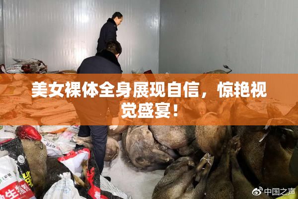 美女裸体全身展现自信，惊艳视觉盛宴！