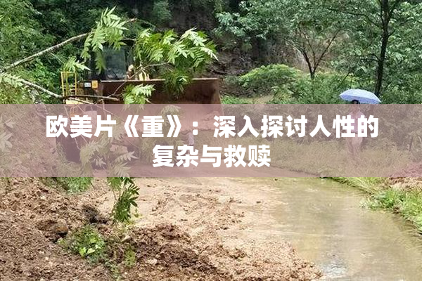欧美片《重》：深入探讨人性的复杂与救赎