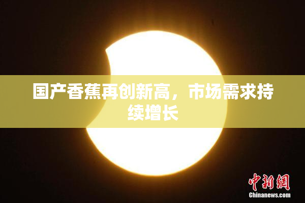 国产香蕉再创新高，市场需求持续增长