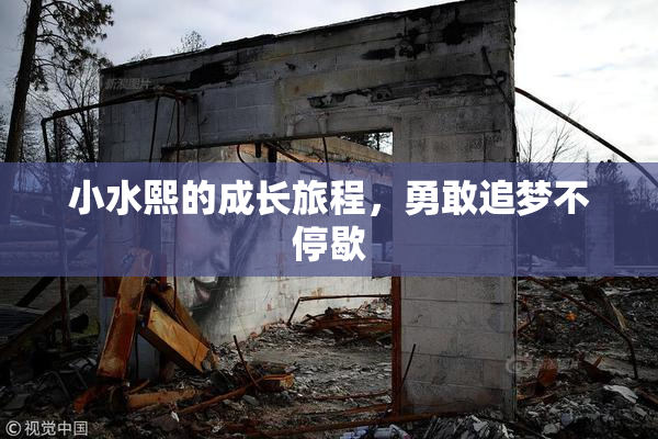 小水熙的成长旅程，勇敢追梦不停歇