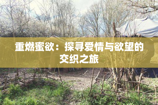 重燃蜜欲：探寻爱情与欲望的交织之旅