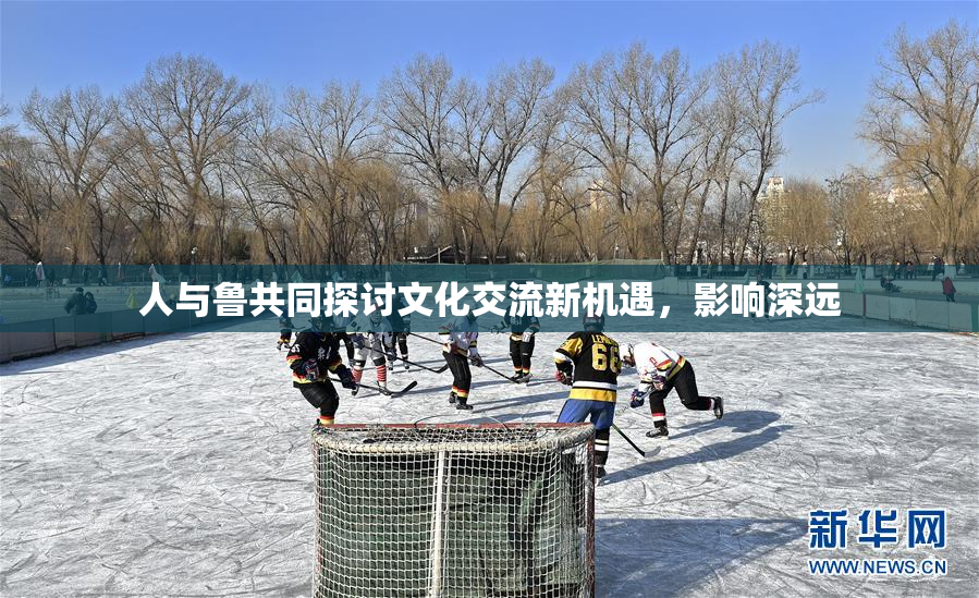 人与鲁共同探讨文化交流新机遇，影响深远