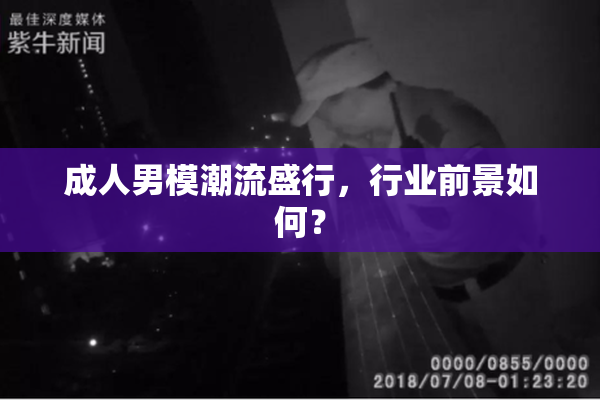 成人男模潮流盛行，行业前景如何？