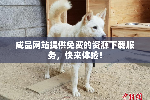 成品网站提供免费的资源下载服务，快来体验！