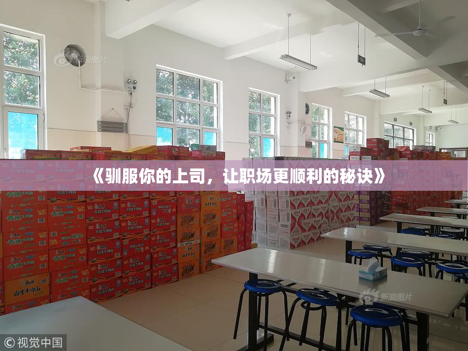 《驯服你的上司，让职场更顺利的秘诀》