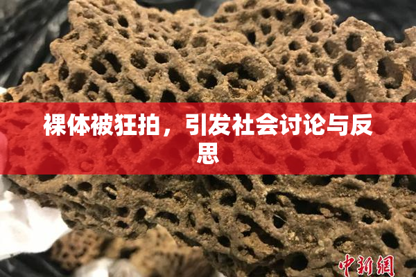 裸体被狂拍，引发社会讨论与反思