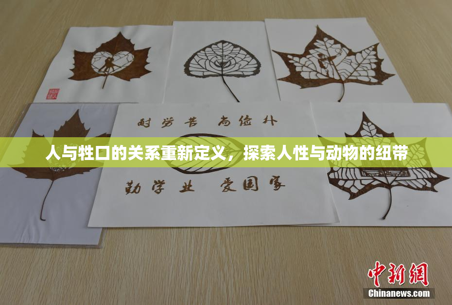 人与牲口的关系重新定义，探索人性与动物的纽带