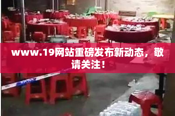www.19网站重磅发布新动态，敬请关注！