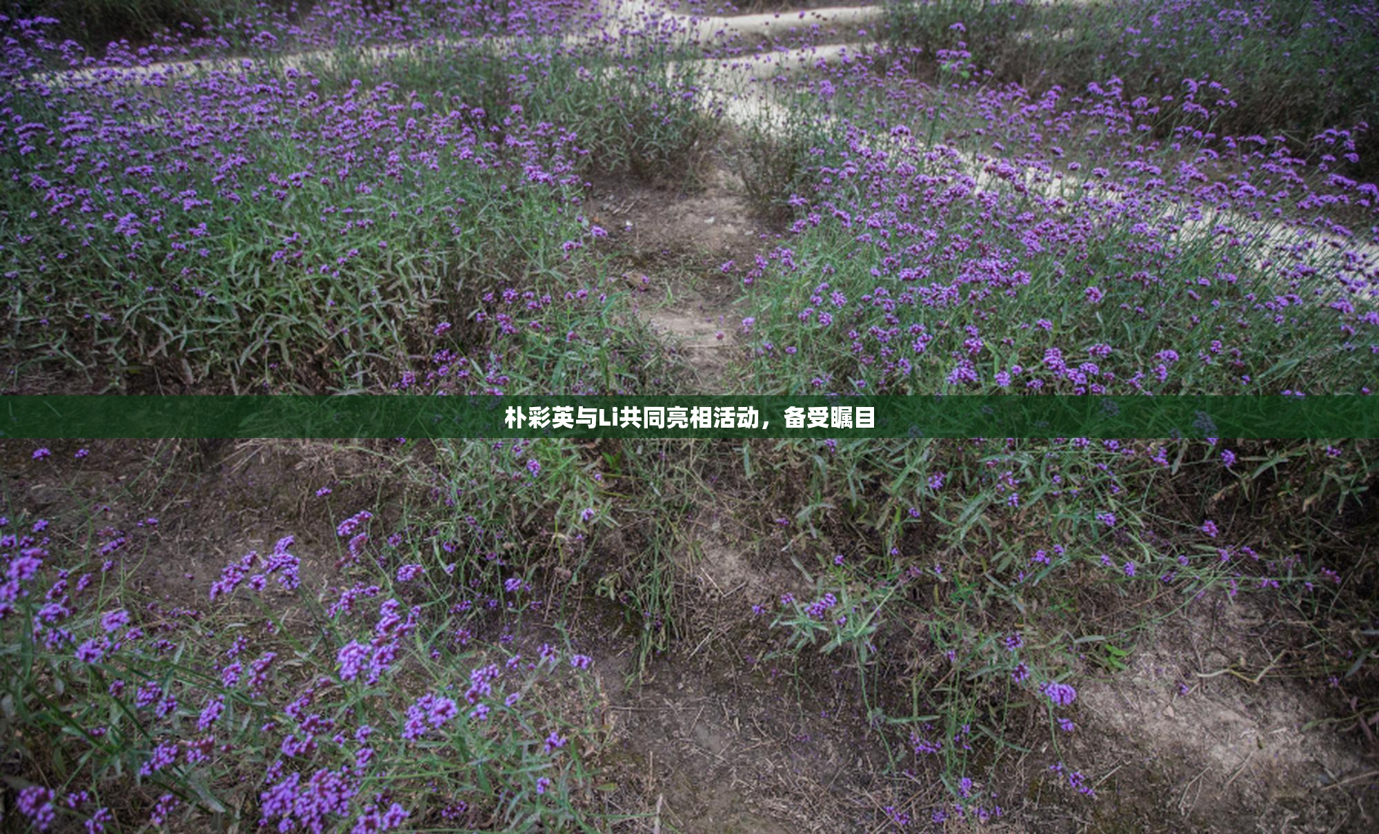 朴彩英与Li共同亮相活动，备受瞩目