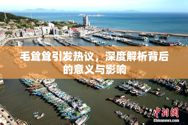 毛耸耸引发热议，深度解析背后的意义与影响