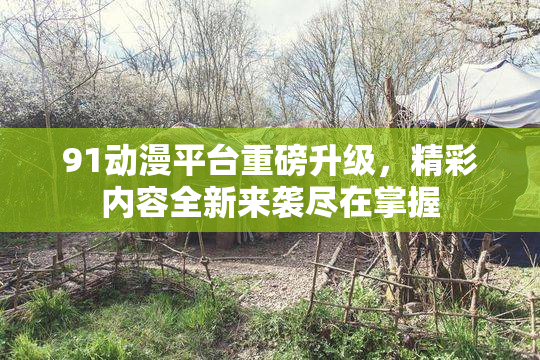 91动漫平台重磅升级，精彩内容全新来袭尽在掌握