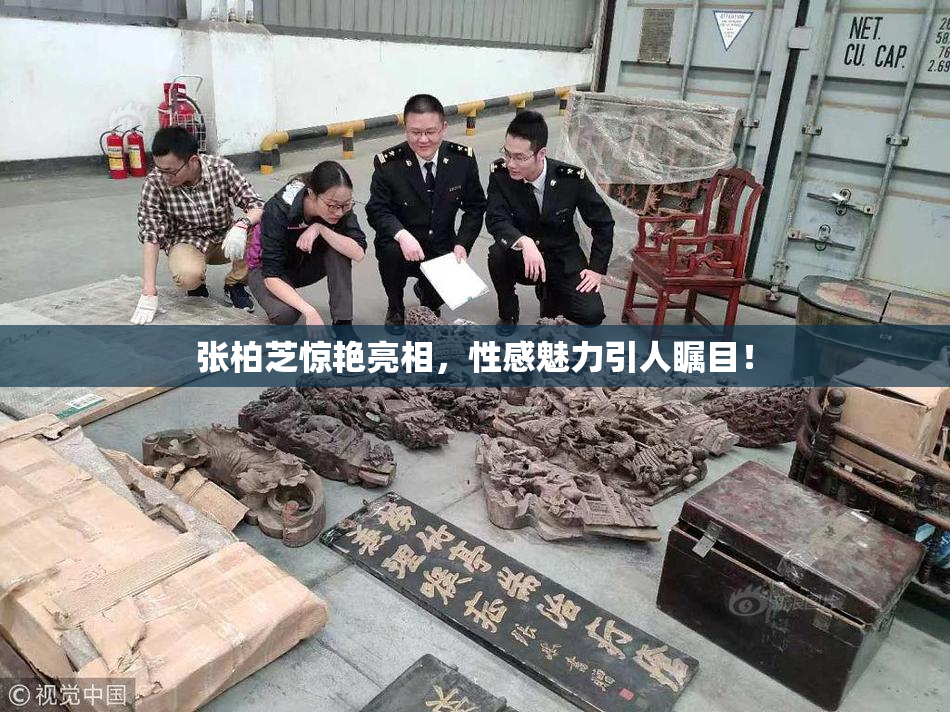 张柏芝惊艳亮相，性感魅力引人瞩目！