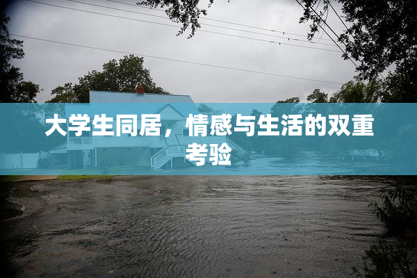 大学生同居，情感与生活的双重考验