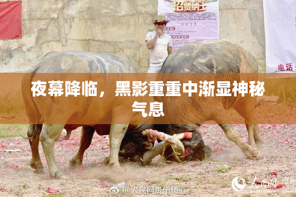 夜幕降临，黑影重重中渐显神秘气息