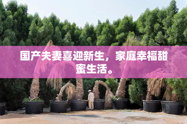国产夫妻喜迎新生，家庭幸福甜蜜生活。