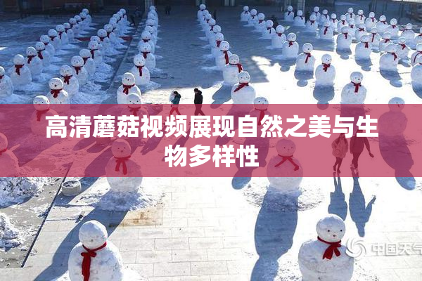 高清蘑菇视频展现自然之美与生物多样性