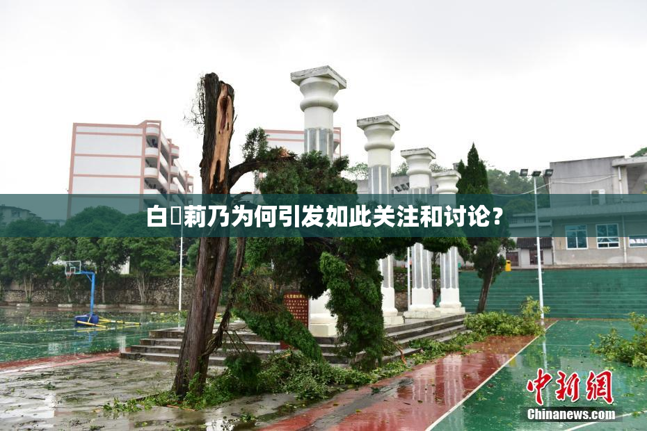 白咲莉乃为何引发如此关注和讨论？