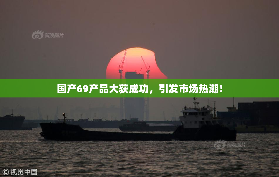 国产69产品大获成功，引发市场热潮！