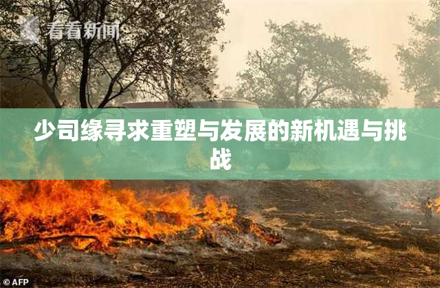 少司缘寻求重塑与发展的新机遇与挑战