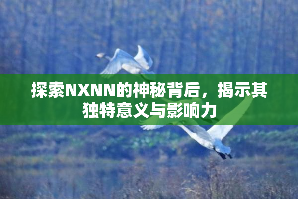 探索NXNN的神秘背后，揭示其独特意义与影响力