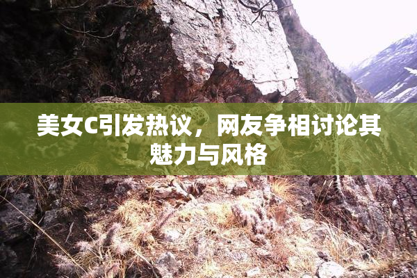 美女C引发热议，网友争相讨论其魅力与风格