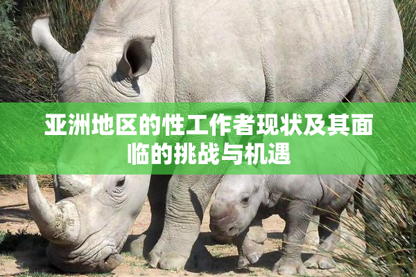 亚洲地区的性工作者现状及其面临的挑战与机遇