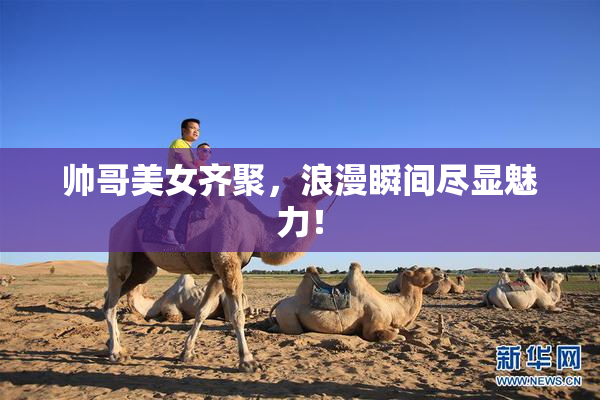 帅哥美女齐聚，浪漫瞬间尽显魅力！
