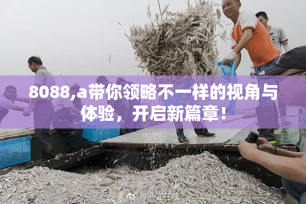 8088,a带你领略不一样的视角与体验，开启新篇章！