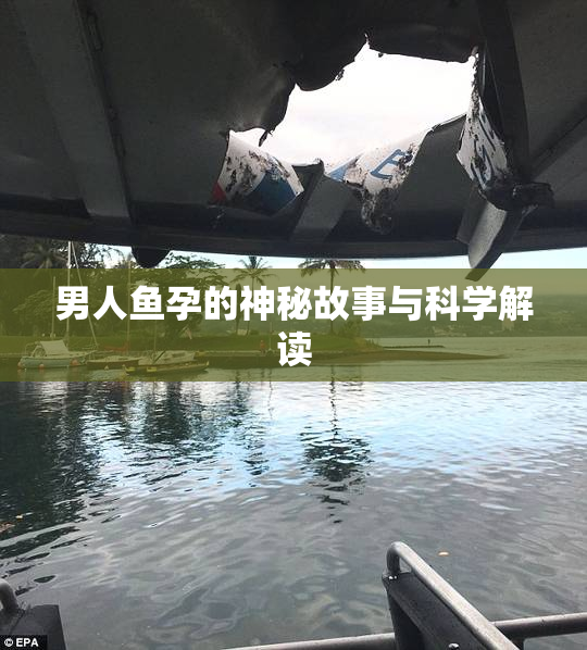 男人鱼孕的神秘故事与科学解读