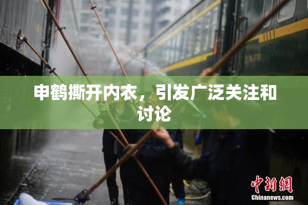 申鹤撕开内衣，引发广泛关注和讨论