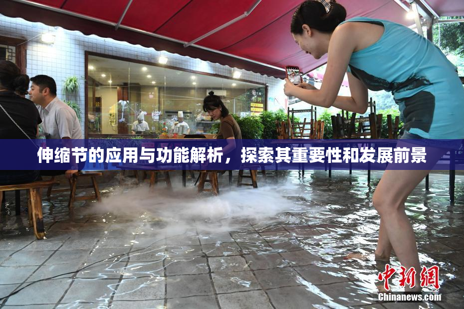 伸缩节的应用与功能解析，探索其重要性和发展前景