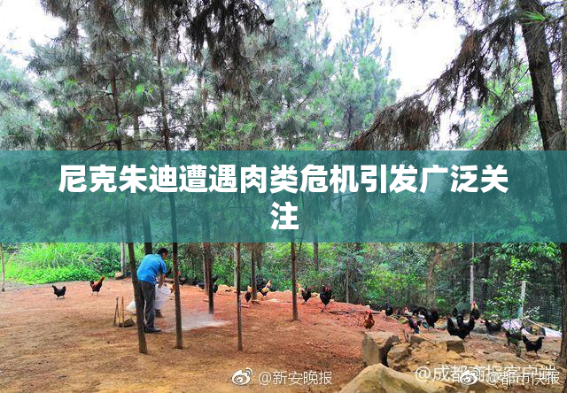 尼克朱迪遭遇肉类危机引发广泛关注