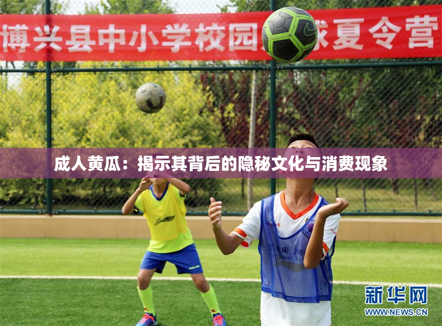 成人黄瓜：揭示其背后的隐秘文化与消费现象